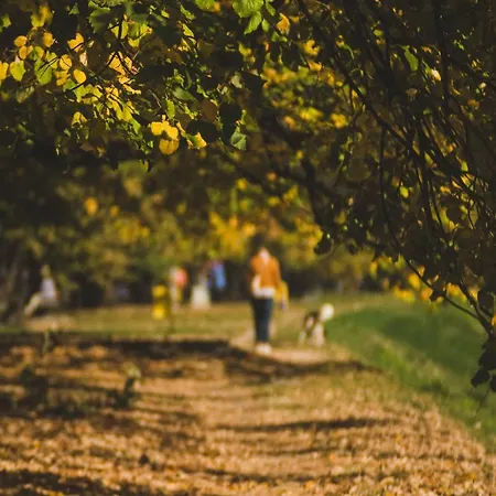 Apartamento Moments Saraievo