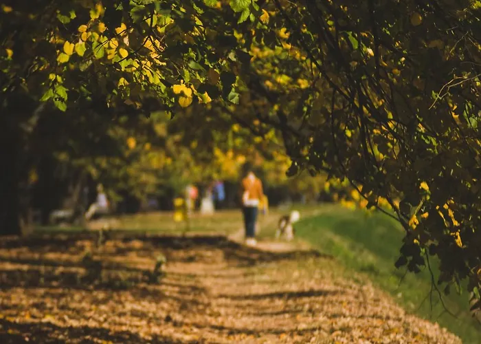아파트 Moments 사라예보